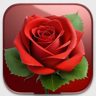 Rose Wallpaper